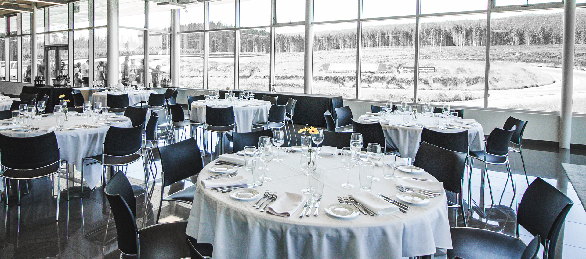 More Than Driving at VIMC | Celebrate the Season