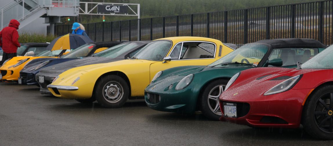 Classic cars lined up at the circuit